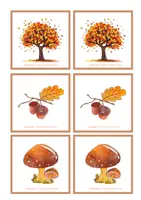 anteprima - Flashcard - MEMORY AUTUNNO - FLASHCARD - Pagina di copertina