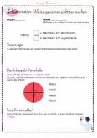 Vorschau - Arbeitsblätter - Protokoll: Experiment Mikroorganismen sichtbar machen - Deckblatt