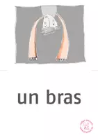 Vorschau - Bildkarten - Bildkarten Französisch: parties du corps 1 - Seite 1