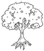 Vorschau - selbst erstellte Cliparts/Grafiken - Cliparts - Der Apfel/ Apfelbaum - Seite 2