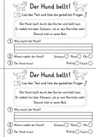 Vorschau - Arbeitsblätter - Miniheft 10 Lesetexte - Thema Haustiere | Deutsch 1. Klasse - Seite 3