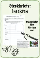 Vorschau - Stationenlernen - Insekten: Steckbriefe erstellen (inkl. 15 Steckbriefe) - Gruppenpuzzle - Deckblatt