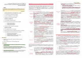 Vista previa - Unidades / Secuencias / Situaciones de Aprendizaje - Oposiciones PT Andalucía: Esquema tema 2 - página 2