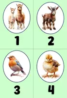 Vorschau - Arbeitsblätter - Lernstationen Tierschutz 4. Klasse, 5. Klasse Sachunterricht Ethik - Seite 3