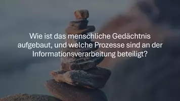Vorschau - Präsentationen/Tafelbilder - Lernpsychologie: Den Prozess des Lernens verstehen - Seite 2