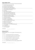 Vorschau - Stundenentwürfe - Stadtgeographie & Urbanisierung (Städte, Megastädte, Verkehr) (großes Materialpaket) - Seite 3