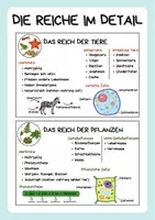 Vorschau - Arbeitsblätter - Die Reiche der Lebewesen - Überblick - Seite 3
