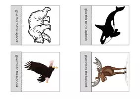Vorschau - Arbeitsblätter - Create a lapbook - Canada - Seite 2