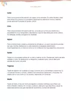 Vista previa - Unidades / Secuencias / Situaciones de Aprendizaje - Tejidos de ropa en castellano (+ ejercicio comprensión lectora) - página 2