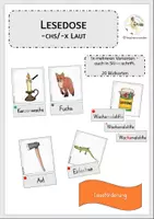 Vorschau - Fördermaterial/Inklusion - Lesedose -chs/-x Laut - Deckblatt