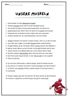 Vorschau - Arbeitsblätter - Text der Woche: Unsere Muskeln - Seite 1