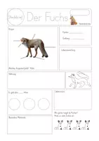 Vorschau - Arbeitsblätter - Steckbrief zum Rotfuchs mit Lösungshilfe und Lösungsblatt - Seite 2