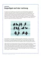 Vorschau - Mal- und Bastelvorlagen - Zugvögel auf der Leitung - Herbst und Frühjahr - Seite 3