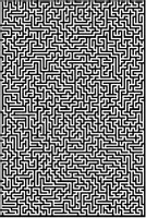 Vorschau - Anderer Materialtyp - 1000 Labyrinthe frei - Deckblatt
