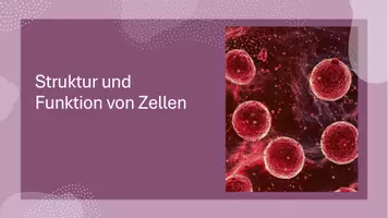 Vorschau - Präsentationen/Tafelbilder - Präsentation: Zellstruktur & Organellen - Genom | Zellkern - Deckblatt