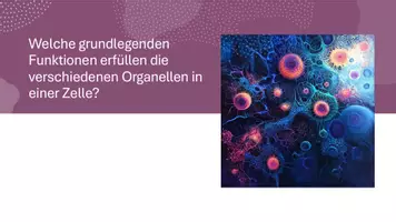 Vorschau - Präsentationen/Tafelbilder - Präsentation: Zellstruktur & Organellen - Genom | Zellkern - Seite 1