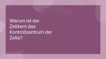 Vorschau - Präsentationen/Tafelbilder - Präsentation: Zellstruktur & Organellen - Genom | Zellkern - Seite 2