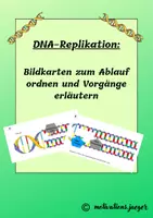 Vorschau - Präsentationen/Tafelbilder - DNA-Replikation: Ablauf anhand von Bildkarten erschließen - Deckblatt