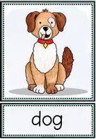 Vorschau - Bildkarten - PETS - Picture + Word Cards - Seite 2