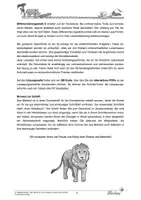 Vorschau - Stundenentwürfe - Lesespurgeschichte: Tiere im Wald - Seite 2