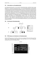 Vorschau - Prüfungsvorbereitung - Pauker Biologie - Klausur Q2 Vererbung & Erbkrankheiten mit EWH - Seite 2