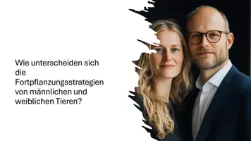 Vorschau - Präsentationen/Tafelbilder - Präsentation: Paarungssysteme und Fortpflanzungsstrategien - Balzverhalten - Seite 1