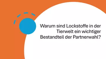 Vorschau - Präsentationen/Tafelbilder - Präsentation: Paarungssysteme und Fortpflanzungsstrategien - Balzverhalten - Seite 2