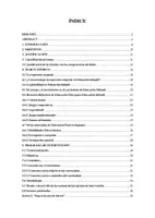 Vista previa - Unidades / Secuencias / Situaciones de Aprendizaje - PROYECTO INTERVENCIÓN PSICOMOTRICIDAD - INFANTIL - E. FÍSICA - página 1