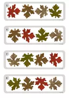 Aperçu - Jeux - Les feuilles - Ateliers - Page 1