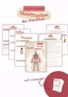 Vorschau - Unterrichtsreihen - Materialpaket zum Skelettsystem des Menschen - Deckblatt