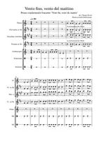 anteprima - Altro tipo di materiale - Musica d'insieme: Vento fino, vento del mattino - Pagina di copertina