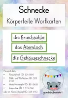 Vorschau - Fördermaterial/Inklusion - Wortkarten Körper der Schnecke (Gehäuseschnecke) - Deckblatt