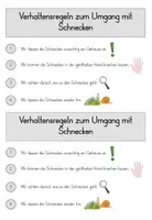 Vorschau - Unterrichtsreihen - Komplettpaket Schnecke 4 in 1: Forscherheft + Tafelmaterial + Lesekartei + Regelplakate - Seite 3