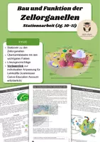 Vorschau - Arbeitsblätter - Aufbau & Funktion der Zellorganellen Zellbestandteile SEK II Zellbiologie - Deckblatt