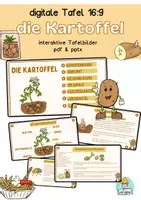 Vorschau - Unterrichtsreihen - Die Kartoffel, Kartoffelpflanze digitale Tafel 16:9 pdf und pptx Wissenkarten - Deckblatt
