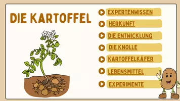 Vorschau - Unterrichtsreihen - Die Kartoffel, Kartoffelpflanze digitale Tafel 16:9 pdf und pptx Wissenkarten - Seite 1