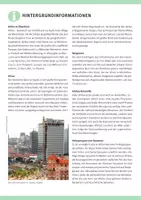 Vorschau - Arbeitsblätter - Unterrichtsmaterial: Einführung Afrika - Seite 2