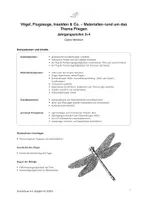 Vorschau - Stundenentwürfe - Vögel, Flugzeuge, Insekten & Co. – Materialien rund um das Thema Fliegen - Seite 2