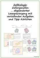 Vorschau - Arbeitsblätter - Zellorganellen - abgeänderter Lesespaziergang - Deckblatt