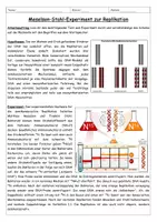 Vorschau - Arbeitsblätter - Meselson-Stahl-Experiment - Arbeitsblatt mit Musterlösung - Seite 1