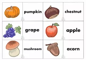 anteprima - Flashcard - Flashcards dell'Autunno in inglese! - Pagina 1