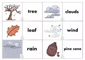 anteprima - Flashcard - Flashcards dell'Autunno in inglese! - Pagina 3