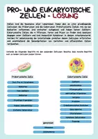 Vorschau - Arbeitsblätter - Zellen im Vergleich (Pro- und Eukaryoten - Tierische und pflanzliche Zelle) - Seite 3