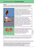 Vorschau - Arbeitsblätter - Arbeitsblatt Zeigerorganismen Bioindikatoren Ökologie Toleranz - Seite 3
