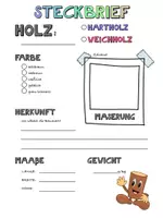 Vorschau - Arbeitsblätter - Einführung in das Thema „Holz“ (Holzwerkstatt) - Seite 2
