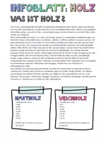 Vorschau - Arbeitsblätter - Einführung in das Thema „Holz“ (Holzwerkstatt) - Seite 3