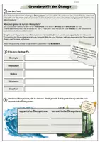 Vorschau - Arbeitsblätter - Grundbegriffe der Ökologie Ökosystem Wald - Deckblatt