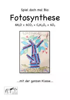 Vorschau - Spiele - Fotosynthese Spiel - Deckblatt