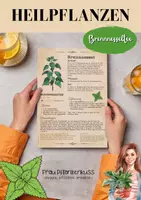 Vorschau - Arbeitsblätter - Brennnesseltee Rezept Unterrichtsmaterial für Heilpflanzen - Seite 2