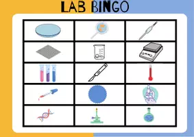 Vista previa - Juegos / Gamificación - Lab Bingo para identificar el material de laboratorio - página 3